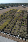 Green roof by University Photographer