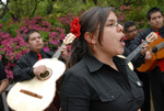 Mariachi Band by University Photographer