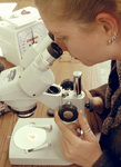 Microscope Observation by University Photographer