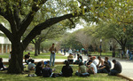 Outdoor Class by University Photographer