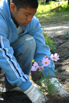 Planting Flowers at Big Event by University Photographer