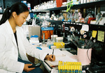 Student Laboratory Research by University Photographer