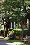 Student Reading by University Photographer