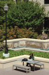 Student Studying by University Photographer