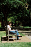 Student Studying Outside by University Photographer