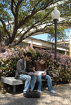 Students Study Outside by University Photographer