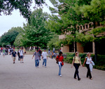 Students Walking Outdoors by University Photographer