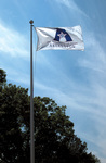 UT Arlington Flag on Flagpole by University Photographer