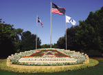 UT Arlington Flags and Logo by University Photographer