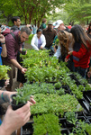 UTA Earth Day 2010 by University Photographer