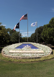 UTA Flags and Logo by University Photographer