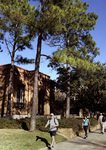 Walk of College Hall by University Photographer