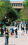 Walking On Campus by University Photographer